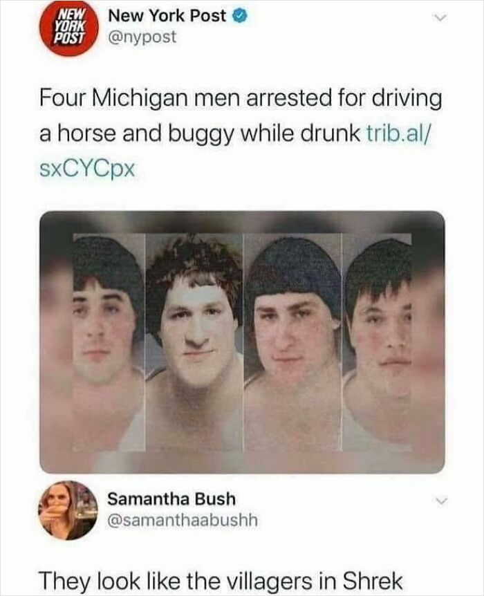 Mugshots of four Michigan men arrested for drunk driving a horse and buggy, described as random memes resembling Shrek villagers.