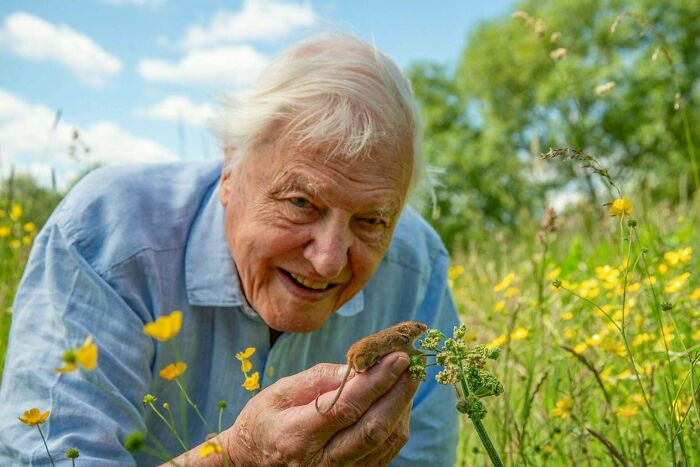 A man in a field, holding a small mouse on a plant, offering an interesting and uplifting post.