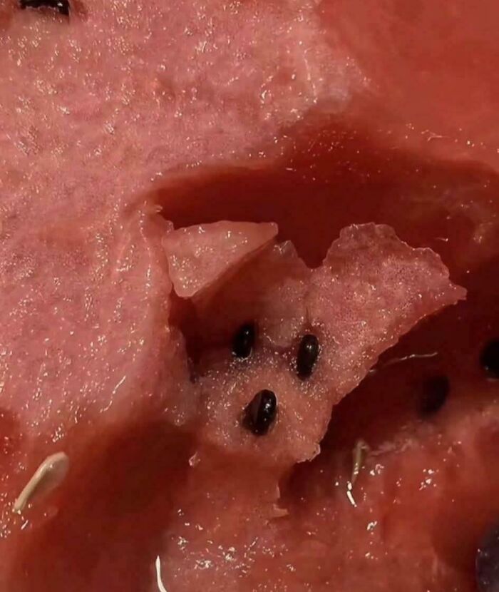 Close-up of watermelon flesh and seeds forming a face pareidolia