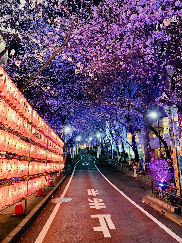 Took This On A Street Just Off Shibuya Last Night - Had To Stop On The Crossing, But I Feel It Was Worth It