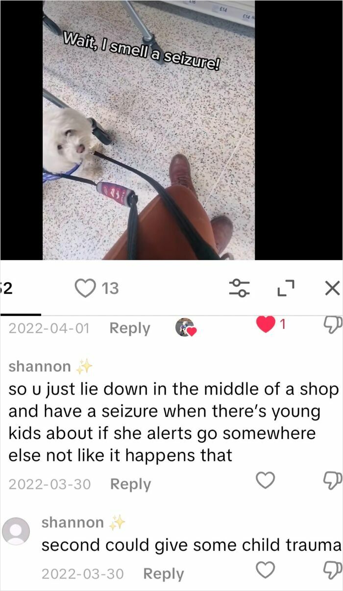 A small white dog on a leash looks up at the camera with the text, "Wait, I smell a seizure!" This illustrates how Insane Parents act.