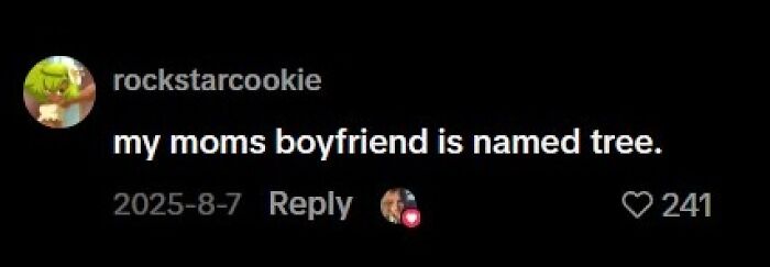 A social media comment by rockstarcookie saying, "my moms boyfriend is named tree." A unique kids naming example.