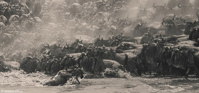 40 Jaw Dropping Panoramic Photos From The Pano Awards That Redefine Landscape Photography
