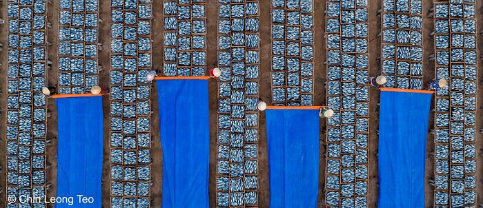40 Jaw Dropping Panoramic Photos From The Pano Awards That Redefine Landscape Photography