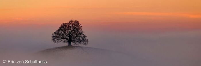 40 Jaw Dropping Panoramic Photos From The Pano Awards That Redefine Landscape Photography