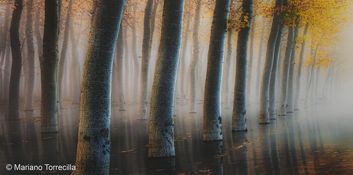 40 Jaw Dropping Panoramic Photos From The Pano Awards That Redefine Landscape Photography