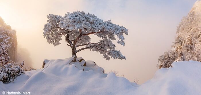 40 Jaw Dropping Panoramic Photos From The Pano Awards That Redefine Landscape Photography