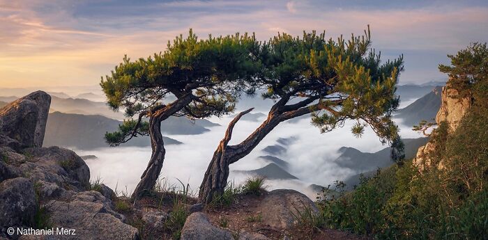 40 Jaw Dropping Panoramic Photos From The Pano Awards That Redefine Landscape Photography