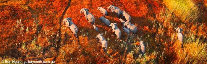 40 Jaw Dropping Panoramic Photos From The Pano Awards That Redefine Landscape Photography