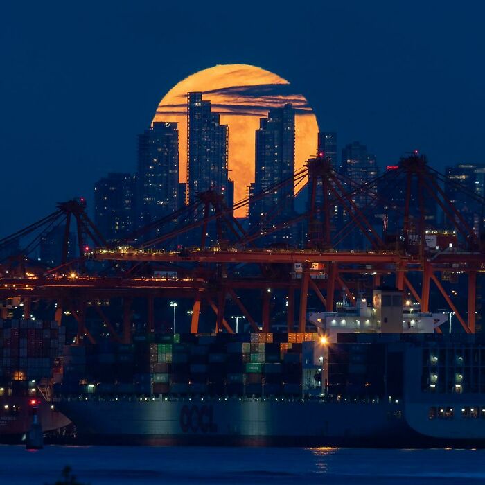 Strawberry Moon Over Port Of Vancouver - The Moon Rise Last Night Was Not A Disappointment. At Ambleside Park