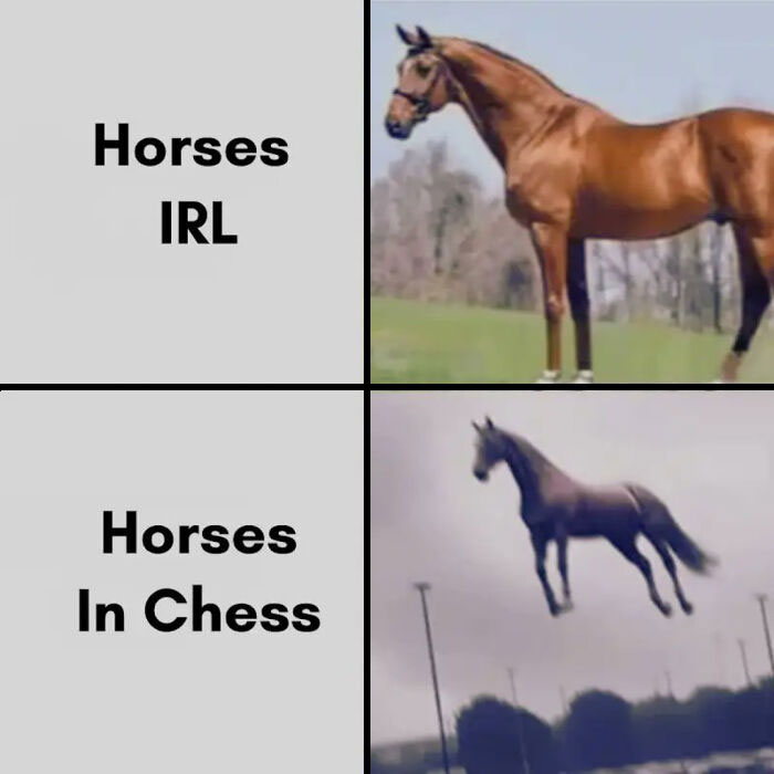 A relatable meme contrasting a real horse in a field with a horse seemingly jumping in a strange pattern in the sky, reflecting chess movements.