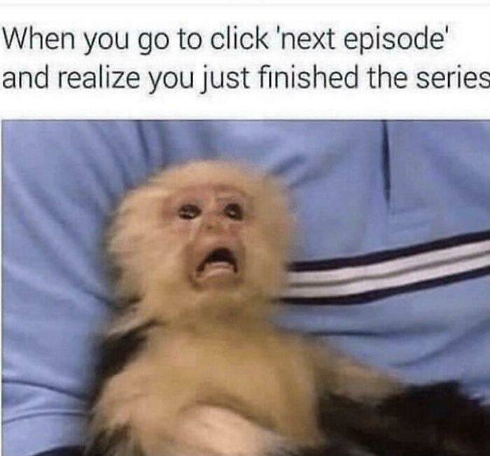 A relatable meme featuring a shocked monkey face reacting to finishing a series, highlighting funny relatable memes.