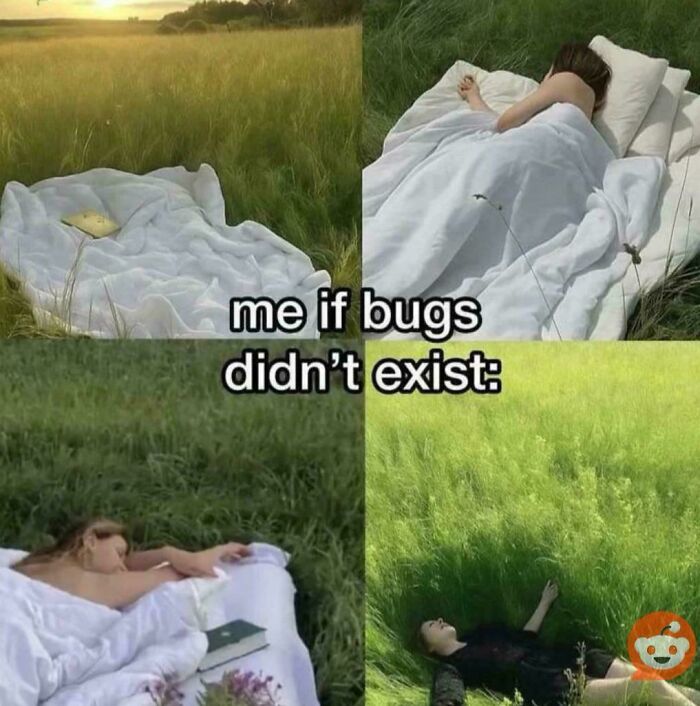 A meme showing people relaxing in grassy fields with beds. Text says, "me if bugs didn't exist." Suspiciously relatable memes.