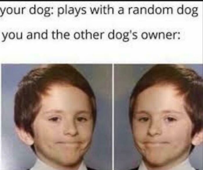 A funny relatable meme of a boy smirking twice, representing dog owners' awkward interaction. One of many suspiciously relatable memes.