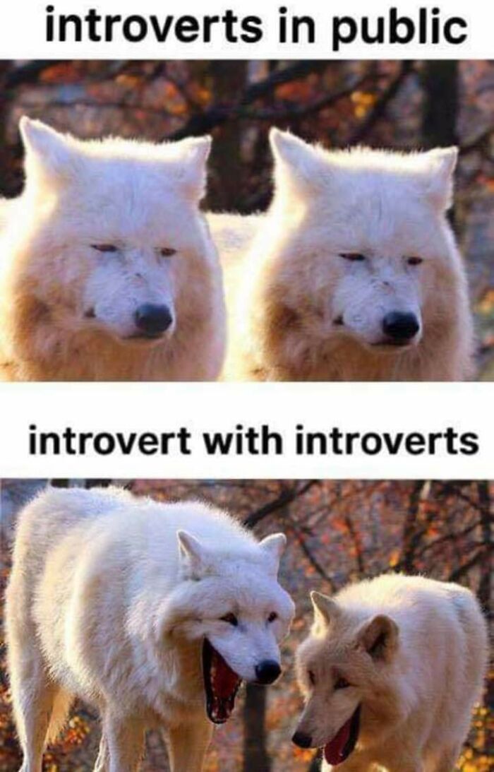 Funny/Relatable Meme My Friend Sent Me