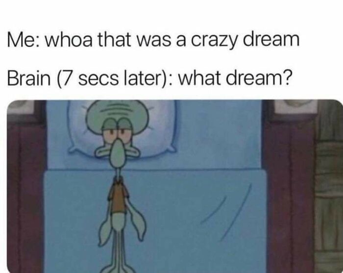 Damn It Brain!