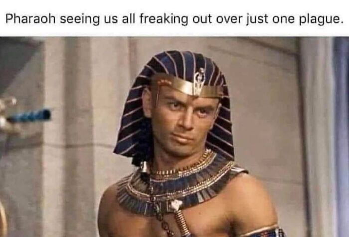 A funny history meme showing Pharaoh in ancient Egyptian regalia looking unimpressed by modern panic over a single plague.