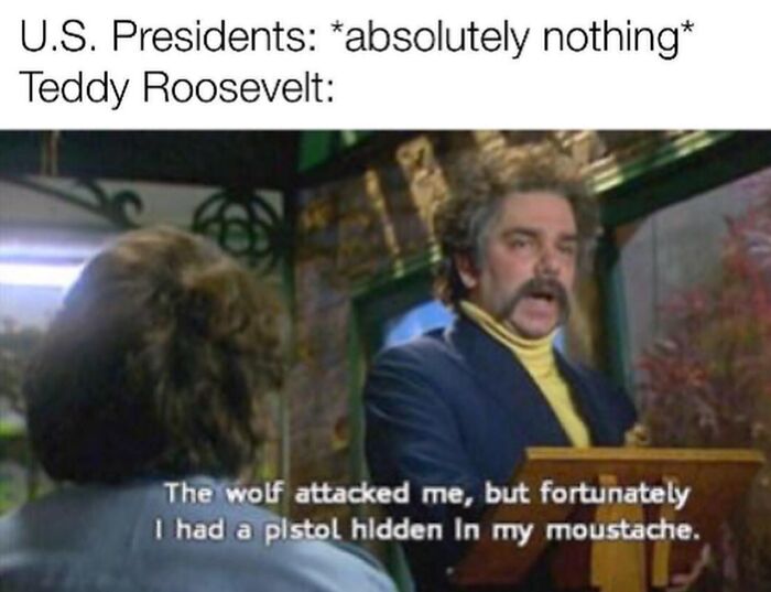 Funny history meme: a man with a large mustache saying, "The wolf attacked me, but fortunately I had a pistol hidden in my moustache."
