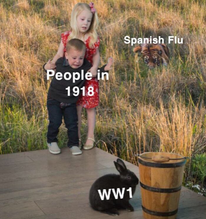 Funny history meme showing a girl (People in 1918) holding a crying boy, while a tiger (Spanish Flu) and a rabbit (WW1) are nearby.