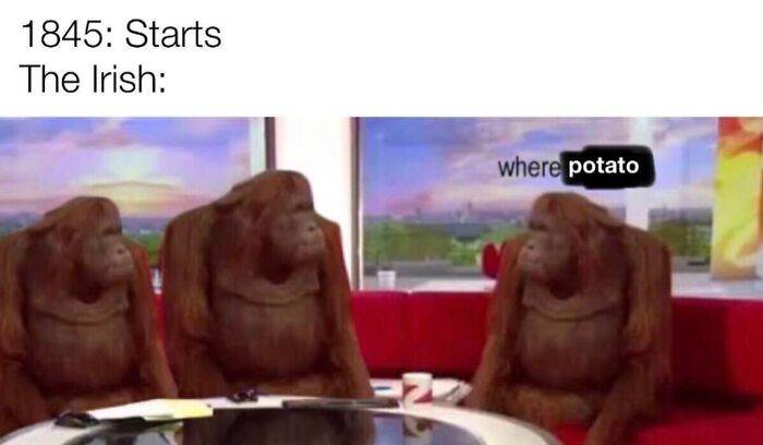 Funny history meme of three orangutans looking confused, one asking, where potato, about the Irish Famine in 1845.