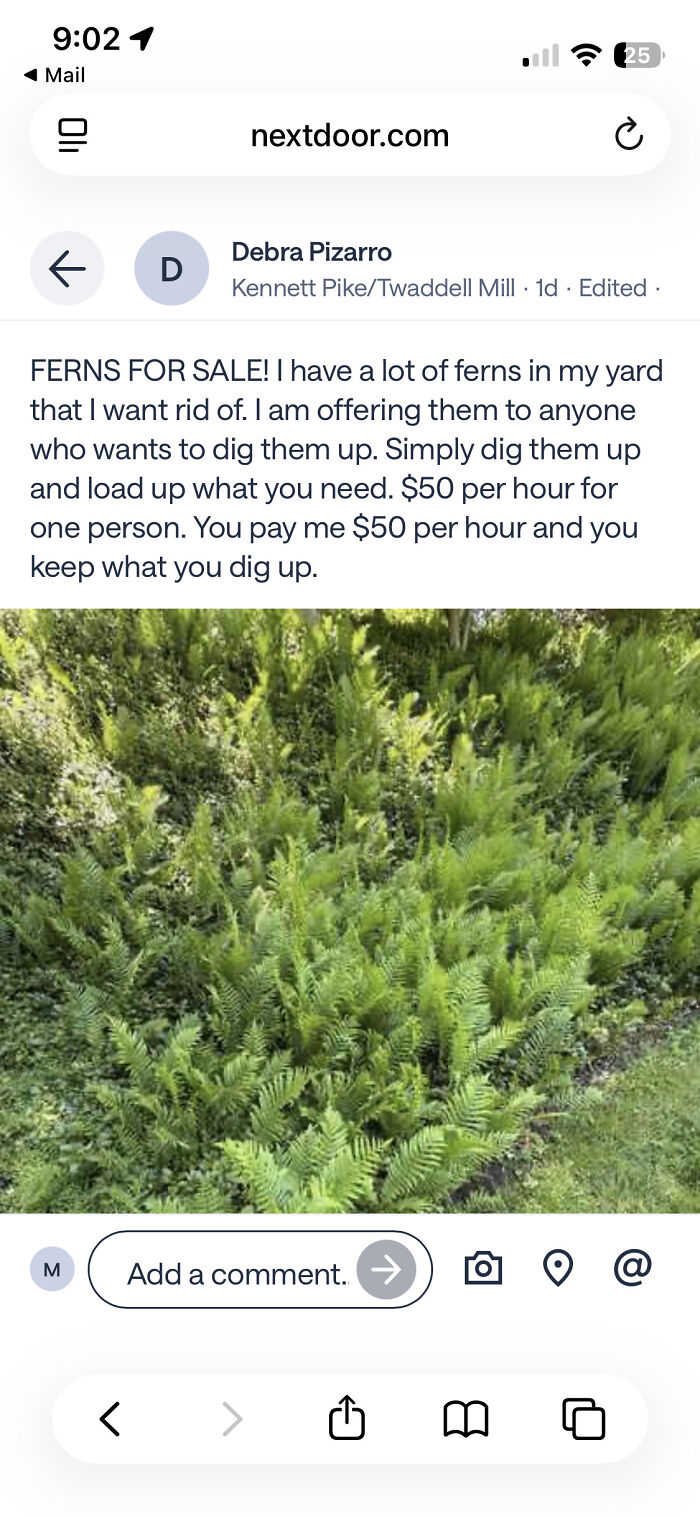 A screenshot of a wild neighborhood online community post offering ferns for sale, where buyers pay to dig them up.