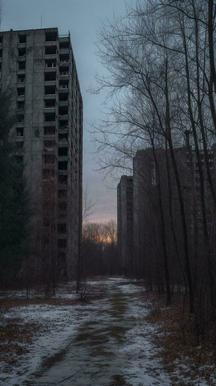 Abandoned urban apartment buildings surrounded by leafless trees and snow