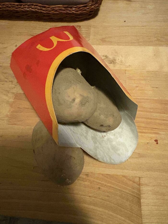 Potato resembling a duck in a McDonald's french fries box