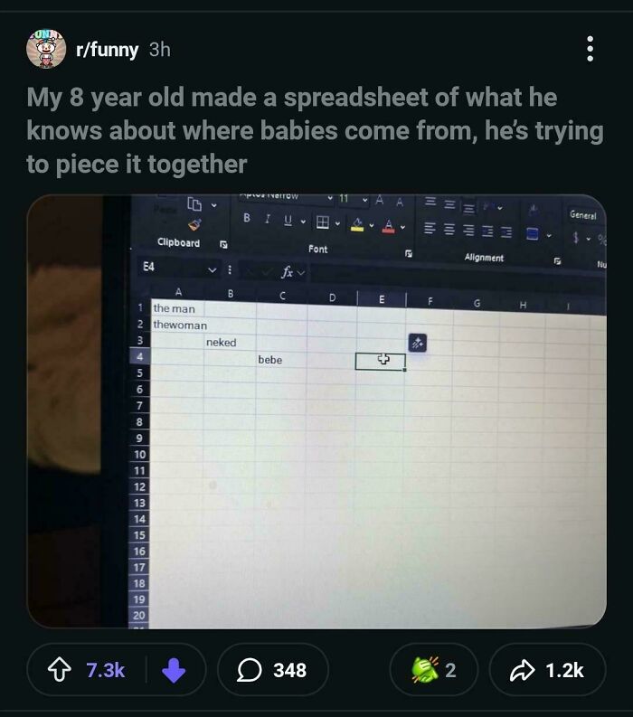 Spreadsheet made by 8 year old on where babies come from, trying to piece it together