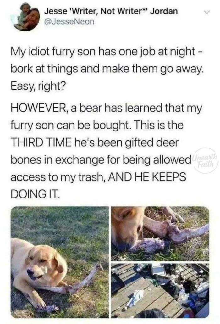 Tweet about a dog accepting deer bones from a bear to protect trash