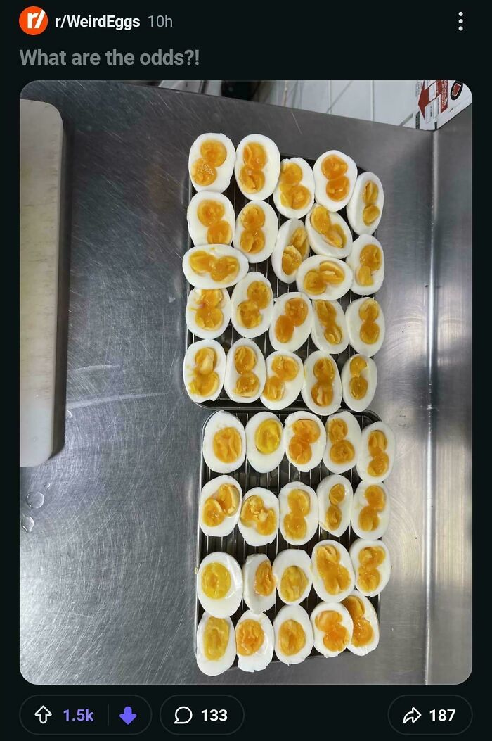 Tray of boiled eggs with unusual double yolks questioning odds