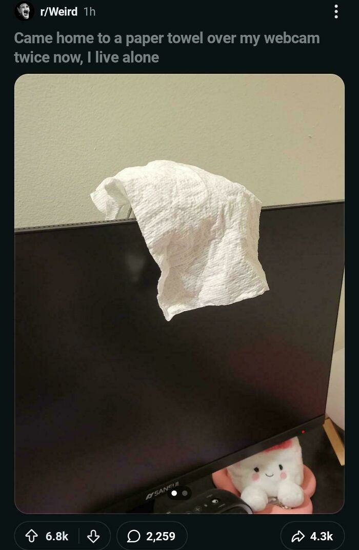 Computer monitor with paper towel over webcam illustrating privacy humor