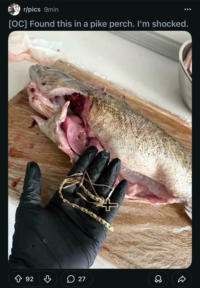 Gold chains found inside cleaned pike perch fish shocked internet users