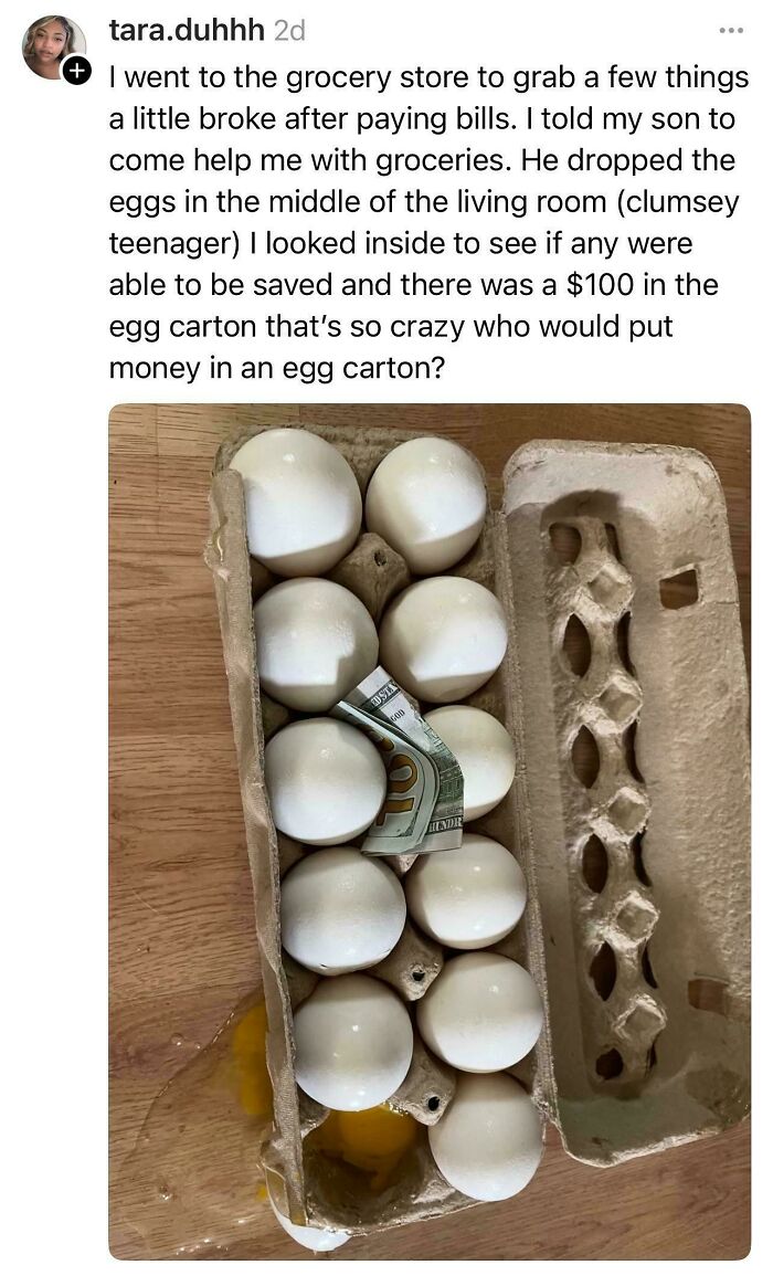 Carton of eggs with a hundred dollar bill hidden inside