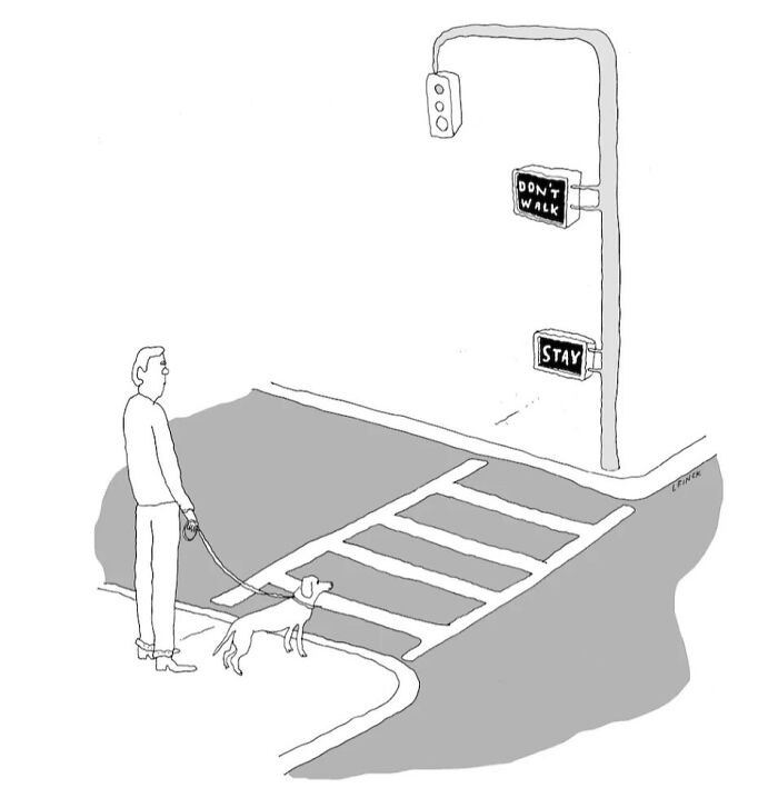 This New Yorker Cartoonist Turns Everyday Anxiety Into Brilliantly Weird Comics