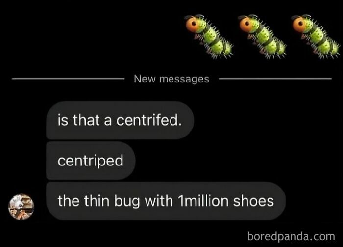 A chat with funny typos and three caterpillar emojis. The user describes a "centriped" as "the thin bug with 1million shoes," highlighting typos.