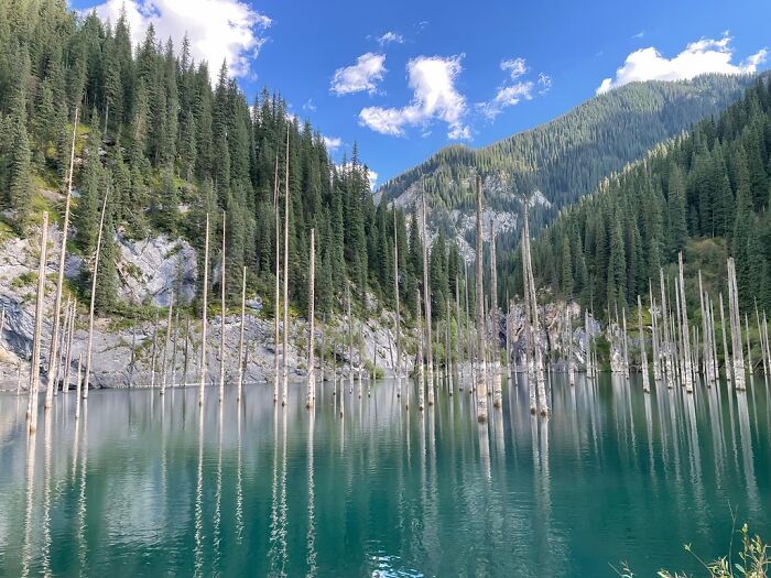Tall pine trees reflecting in turquoise lake with stunning mountain views