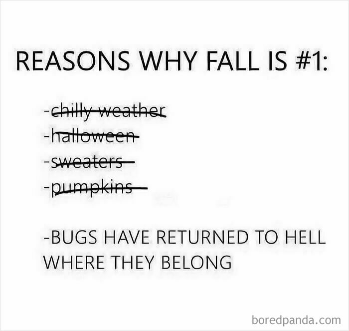 Text meme stating bugs returning to hell as top reason for fall outdoors