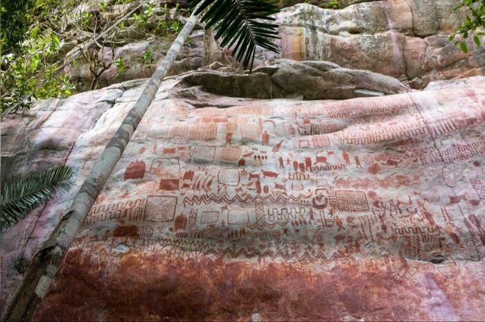 Recently An 8-Mile Long "Canvas" Filled With Ice Age Drawings Of Extinct Animals Has Been Discovered In The Amazon Rainforest