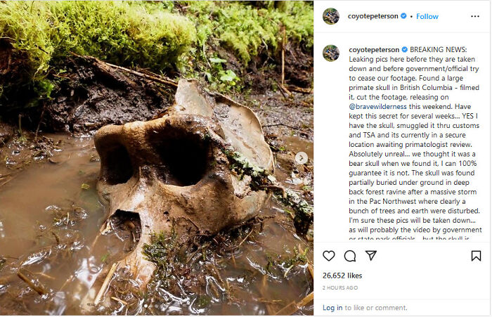 Coyote Peterson Is Claiming He's Found A Bigfoot Skull