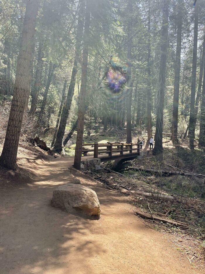 Took This In Yosemite National Park A Few Weeks Ago