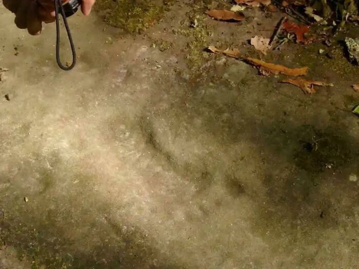 The Berea Footprints Are A Collection Of Various Human Like Footprints Fossilized Into The Rock Strata South Of Berea, KY