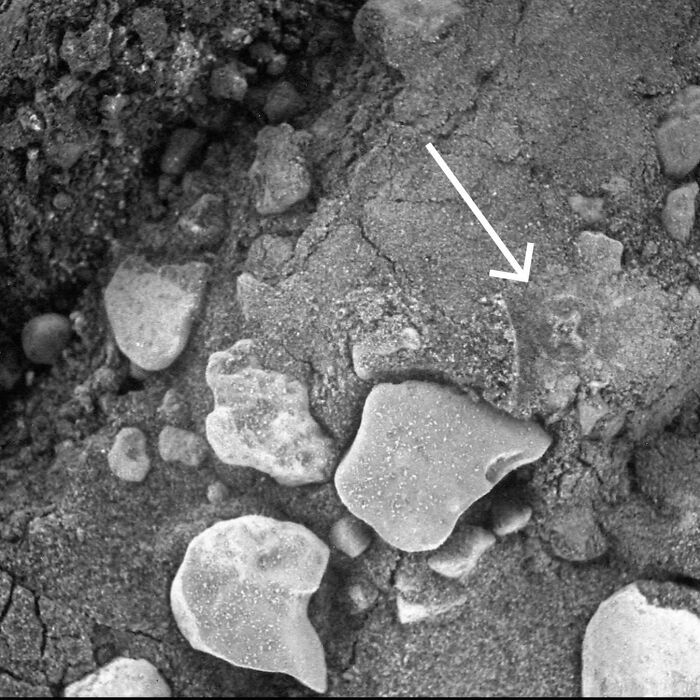 Monochrome image of Martian surface rocks, with an arrow pointing to a formation. High strangeness might be here.