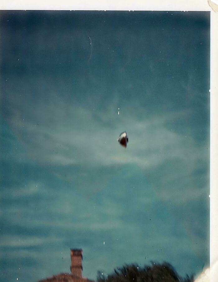 In 1966, A Local Business Man Took This Photo During Westall-School's Mass UFO Sighting, Where Over 400+ Children, Including Teachers Saw Multiple Ufos Circle Around Their School. This Is The Only Photo From The Event