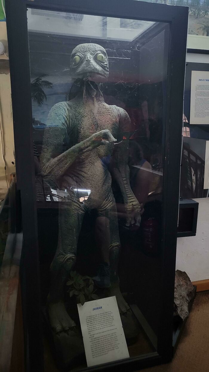 "The Saurian". This Was A 5'2" Model Of What Scientists At The Time (80's) Thought Dinosaurs Would Have Turned Into If There Was No Extinction Event In A Small Local Museum