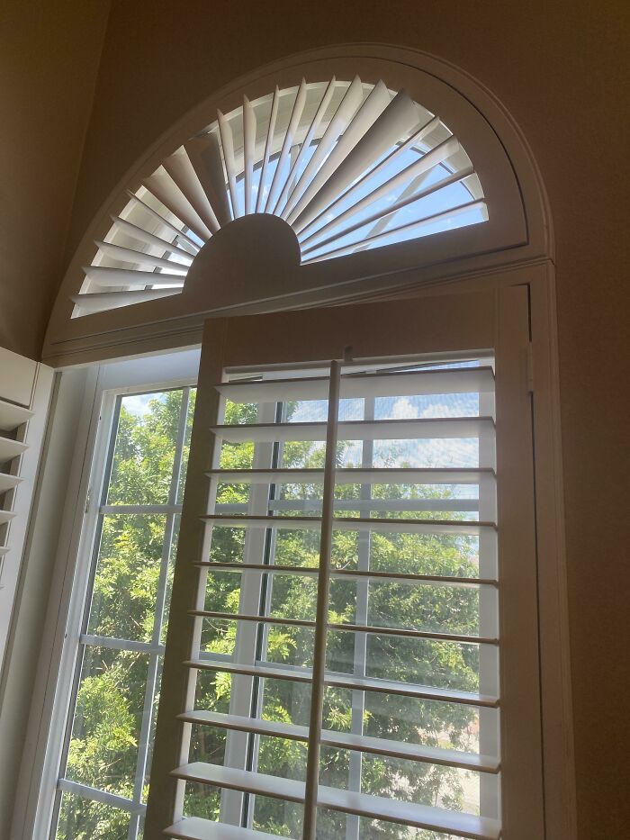 Window with semi-circular and horizontal white blinds showing outdoor greenery