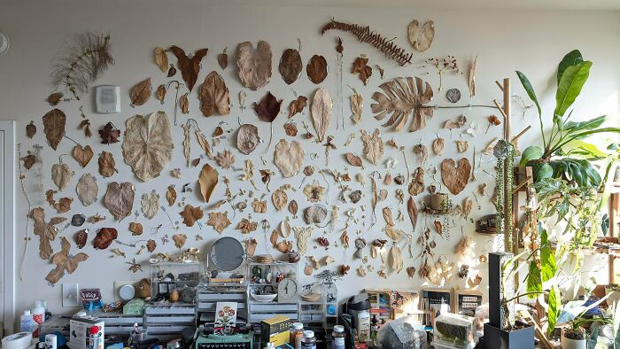 Wall covered with dried leaves and plants above cluttered workbench