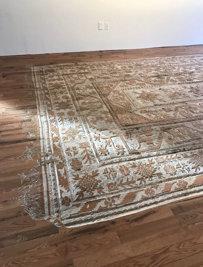Large rug with dusty, dirty patterns on hardwood floor