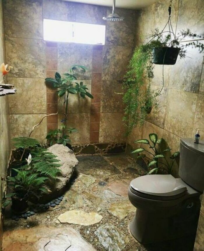 Bathroom with plants and stone floor complicating cleaning