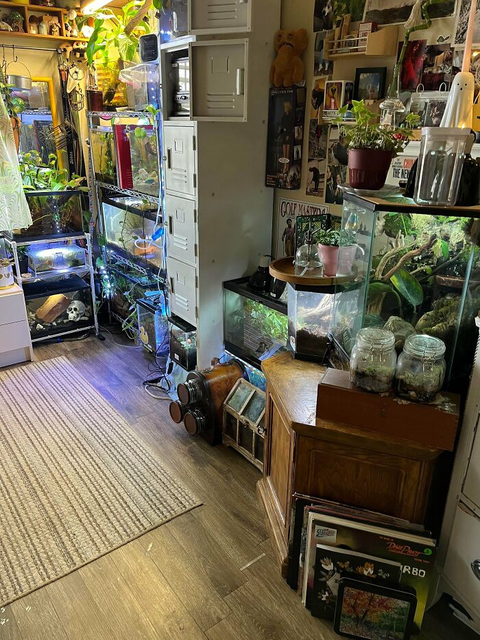 Room filled with unclean plants and aquariums on shelves
