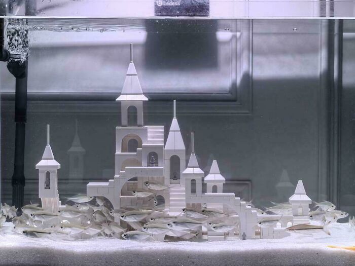 Plastic castle inside a dirty fish tank with small fish